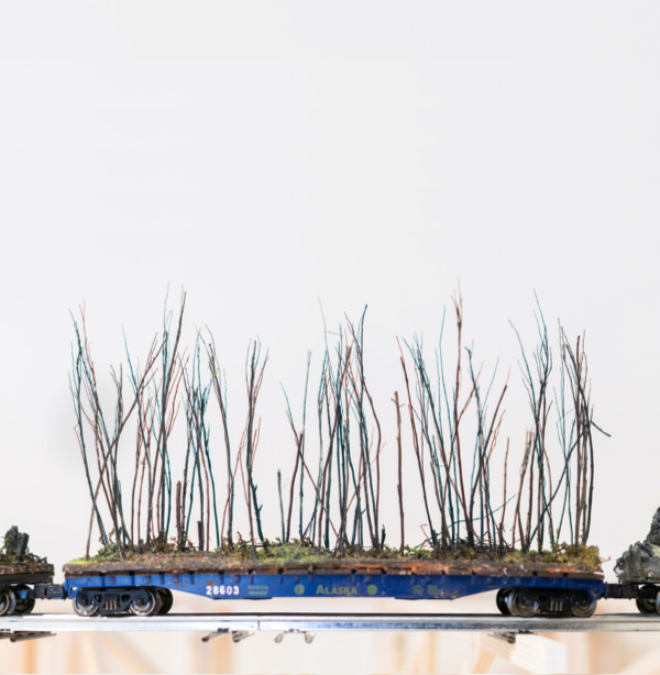 Flat bed model train, with miniature trees with no leaves, Blane De St. Croix's Moving Landscape