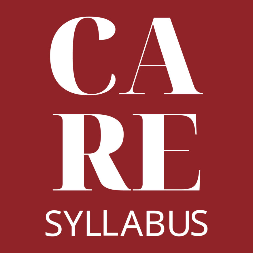 CARE SYLLABUS 4th Module Feature image, CARE SYLLABUS Logo, the word Care and Syllabus in white with red background