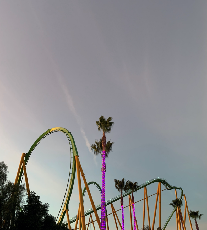 EJ Hill feature image, EJ Hill, joy study (pre-drop palms), 2019, view of roller coaster and palm tree against sky