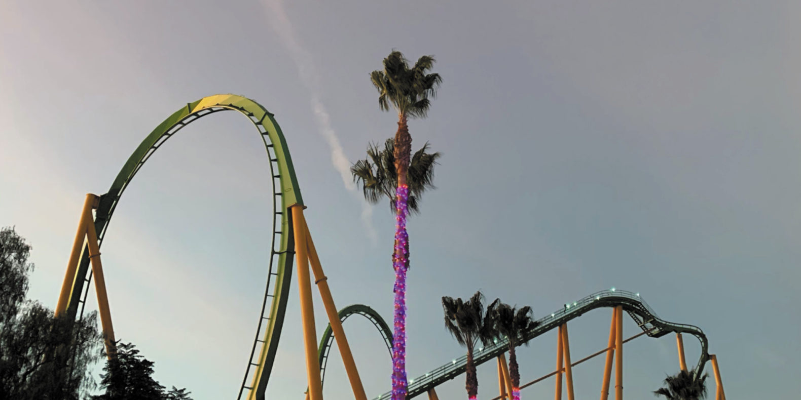 EJ Hill feature image, EJ Hill, joy study (pre-drop palms), 2019, view of roller coaster and palm tree against sky