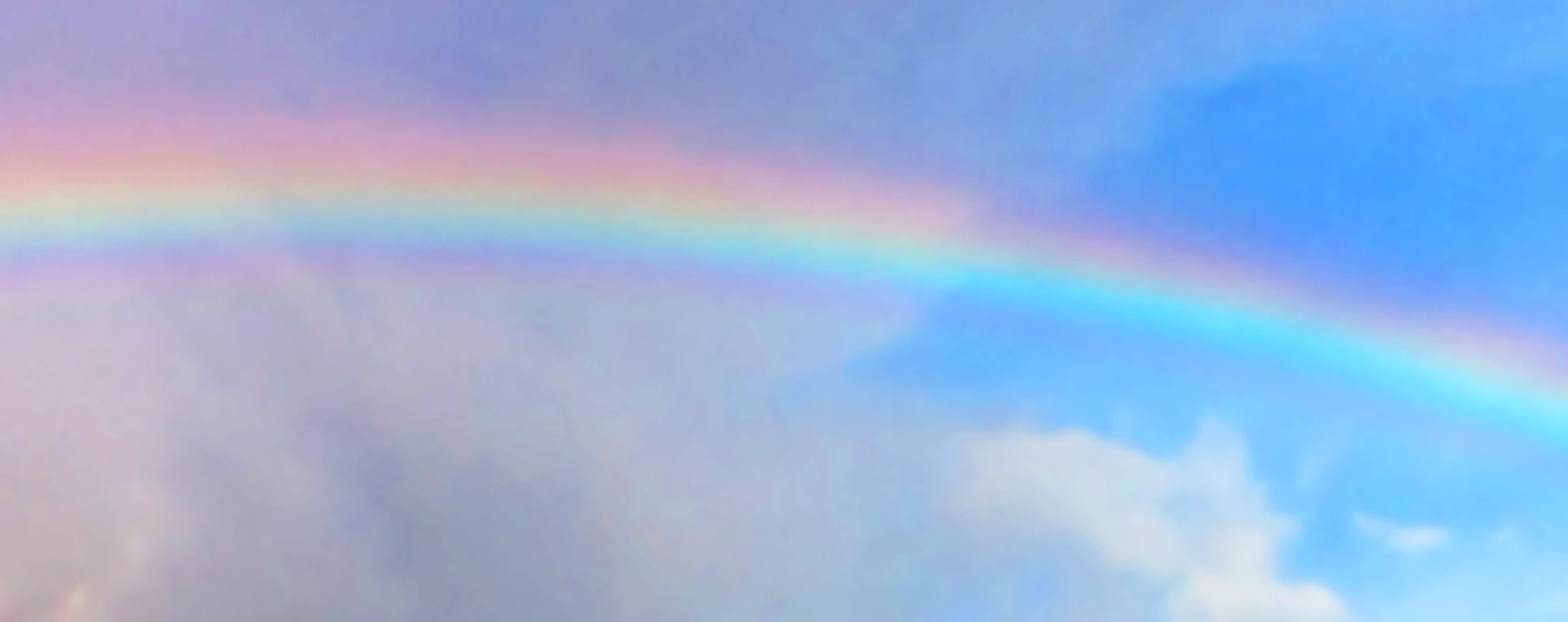 WAM Bright Half Life feature image, rainbow against partially cloudy sky